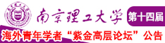 sese肏美女南京理工大学第十四届海外青年学者紫金论坛诚邀海内外英才！